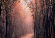 [图]欧联杯-B费送点齐尔克泽破门 曼联1-1皇家社会.