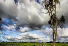 [CBA]常规赛3月18日：浙江VS新疆 程帅澎集锦.