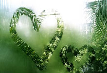 朝鲜女足U17世界杯夺冠 2个月连夺2项世界杯冠军央视体育.