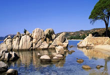 [英超]前利物浦名宿萨米·海皮亚回忆往事.